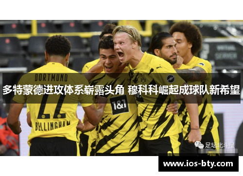 多特蒙德进攻体系崭露头角 穆科科崛起成球队新希望
