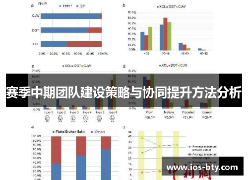 赛季中期团队建设策略与协同提升方法分析