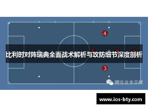 比利时对阵瑞典全面战术解析与攻防细节深度剖析